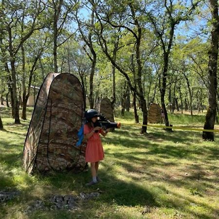 Lodges Du Bois Dodo - Ancien Camping De Bois Redon Septfonds Экстерьер фото