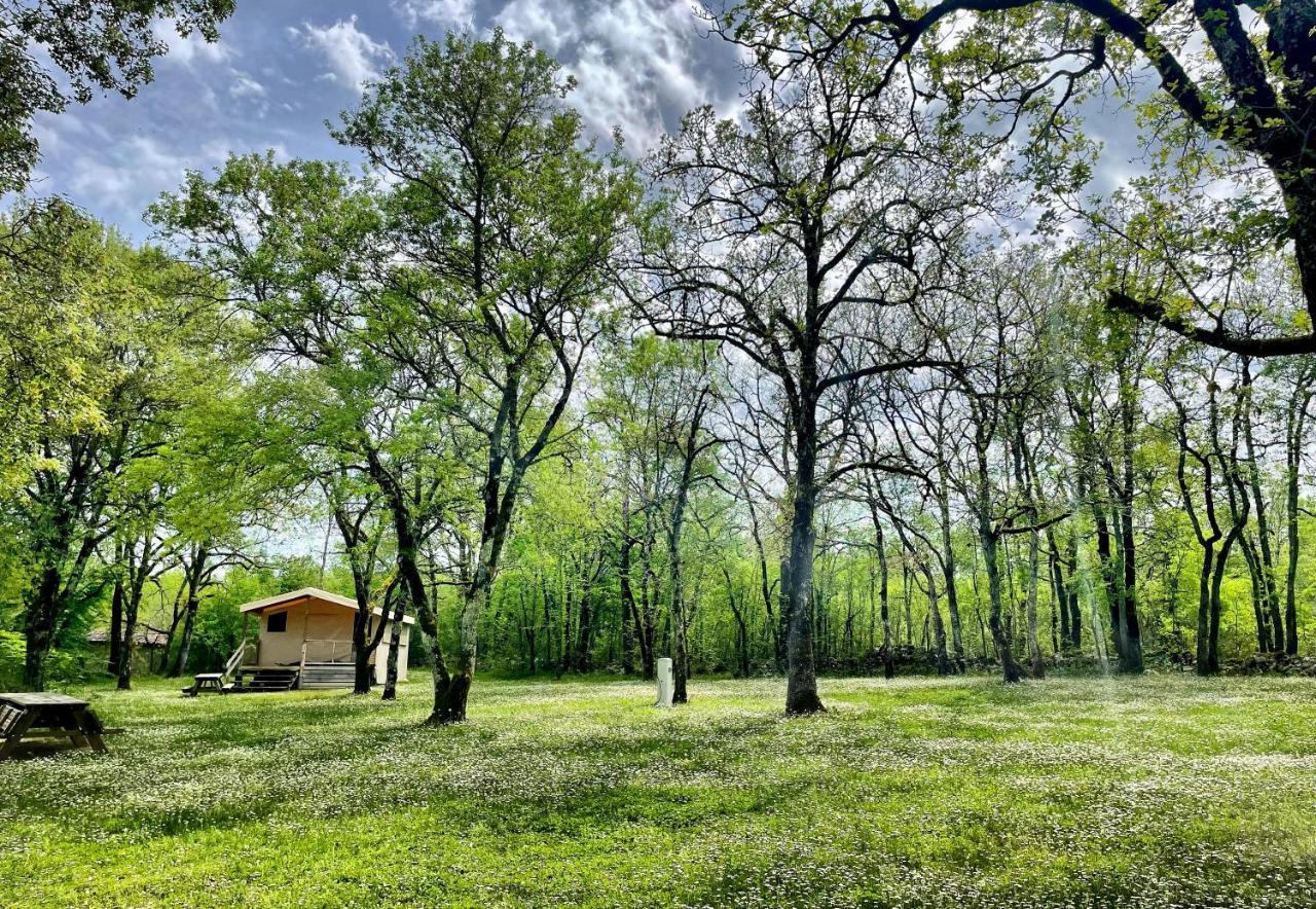 Lodges Du Bois Dodo - Ancien Camping De Bois Redon Septfonds Экстерьер фото